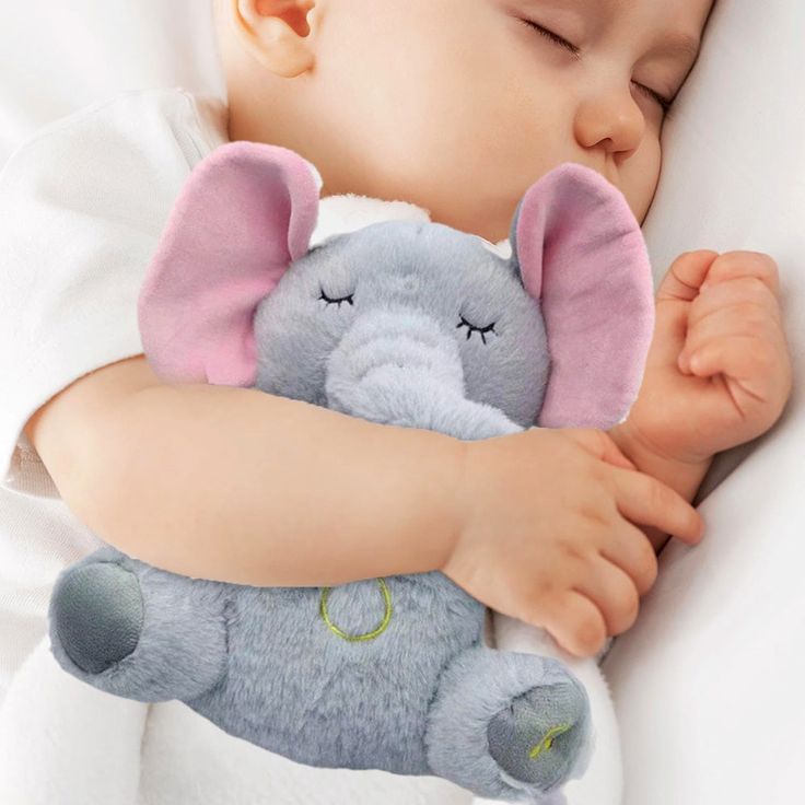Comfort Elephant